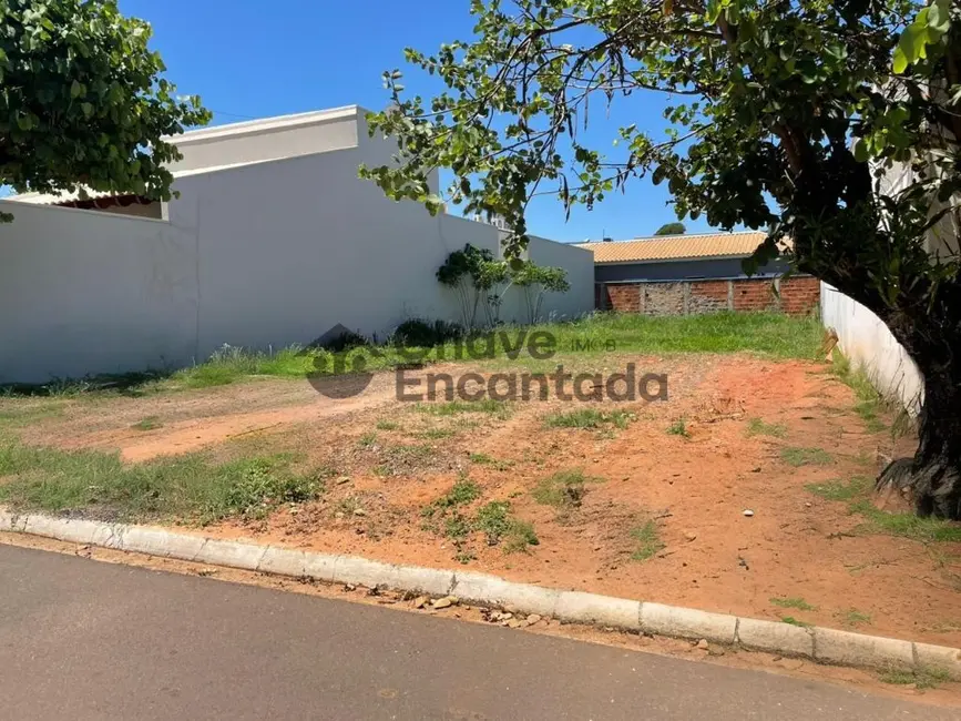 Terreno / Lote à venda, 300m2 em Jardim São Conrado, Birigui - SP - imagem 1 Foto 1 de Terreno / Lote à venda, 300m2 em Jardim São Conrado, Birigui - SP