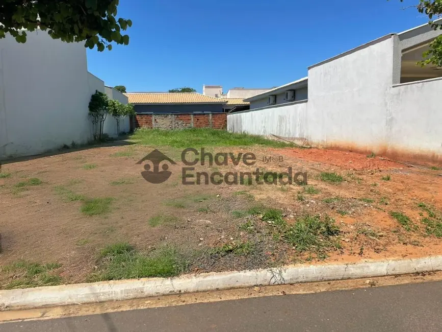 Terreno / Lote à venda, 300m2 em Jardim São Conrado, Birigui - SP - imagem 2 Foto 2 de Terreno / Lote à venda, 300m2 em Jardim São Conrado, Birigui - SP