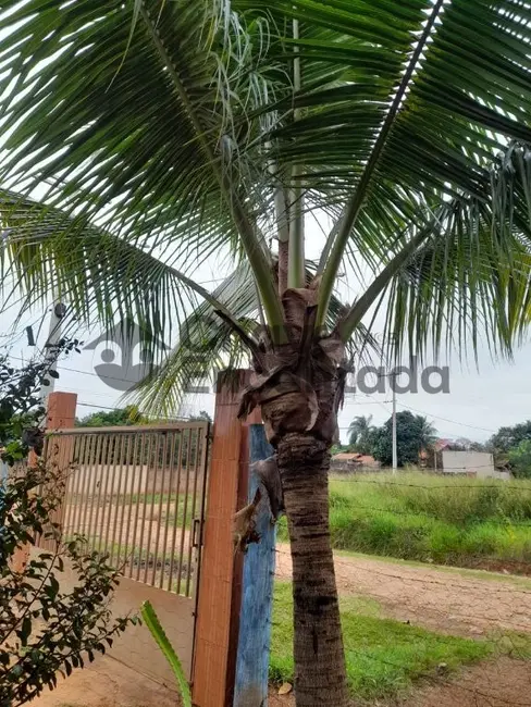 Terreno / Lote à venda, 1534m2 em Aracatuba - SP - imagem 1 Foto 1 de Terreno / Lote à venda, 1534m2 em Aracatuba - SP
