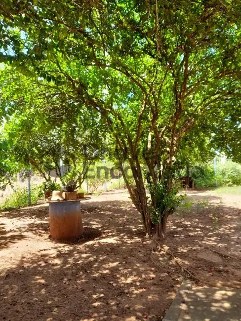 Terreno / Lote à venda, 1534m2 em Aracatuba - SP - imagem 7 Foto 7 de Terreno / Lote à venda, 1534m2 em Aracatuba - SP