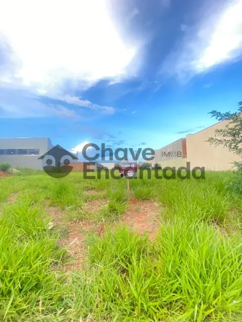 Foto 2 de Terreno / Lote à venda, 250m2 em Jardim Alto do Silvares, Birigui - SP