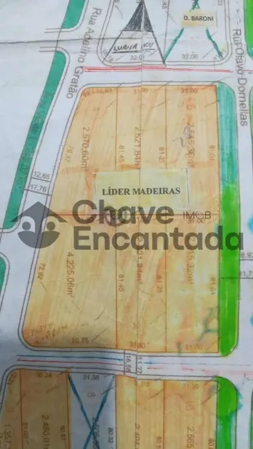 Foto 2 de Terreno / Lote à venda, 18000m2 em Aracatuba - SP