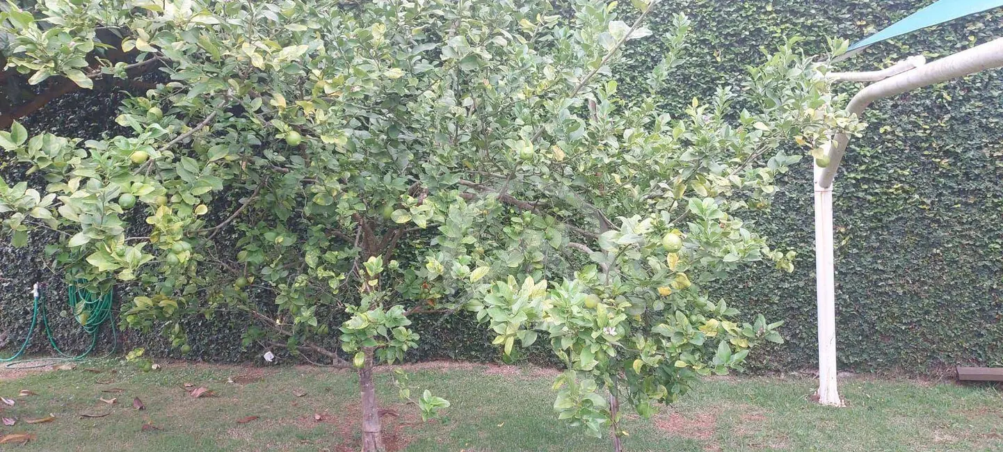 Foto 5 de Terreno / Lote à venda, 480m2 em Vila Petrópolis, Atibaia - SP