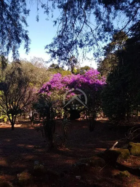 Foto 7 de Sítio / Rancho com 3 quartos à venda, 36250m2 em Mairipora - SP