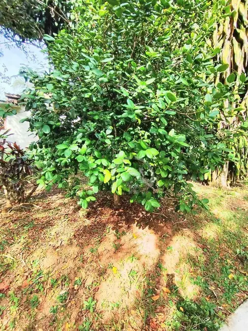 Chácara com 1 quarto à venda e para alugar, 7200m2 em Jardim Estância Brasil, Atibaia - SP - imagem 3 Foto 3 de Chácara com 1 quarto à venda e para alugar, 7200m2 em Jardim Estância Brasil, Atibaia - SP