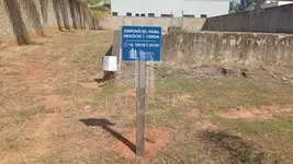Imagem 5