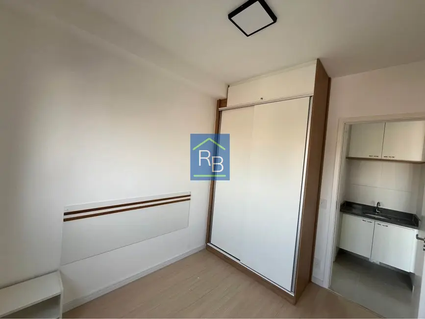 Foto 2 de Apartamento com 1 quarto para alugar, 25m2 em Ipiranga, São Paulo - SP