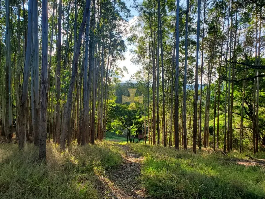 Foto 4 de Sítio / Rancho à venda, 56722m2 em Braganca Paulista - SP