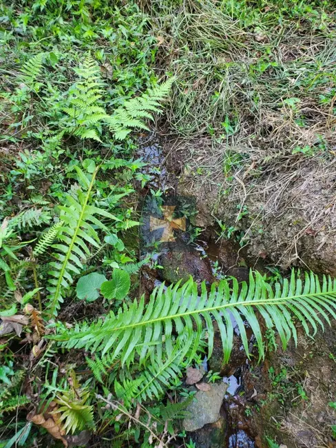 Foto 7 de Sítio / Rancho à venda, 56722m2 em Braganca Paulista - SP