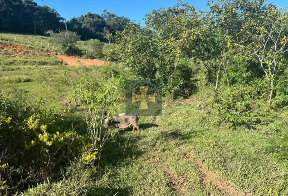 Foto 7 de Terreno / Lote à venda, 24200m2 em Guaripocaba dos Souzas, Braganca Paulista - SP