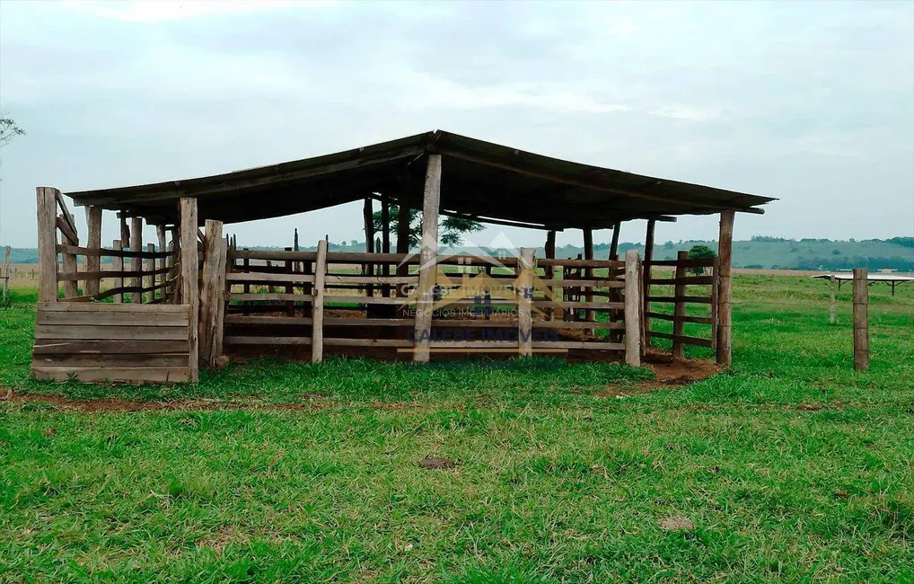 Chácara com 3 quartos à venda, 36000m2 em Cesario Lange - SP - imagem 8 Foto 8 de Chácara com 3 quartos à venda, 36000m2 em Cesario Lange - SP
