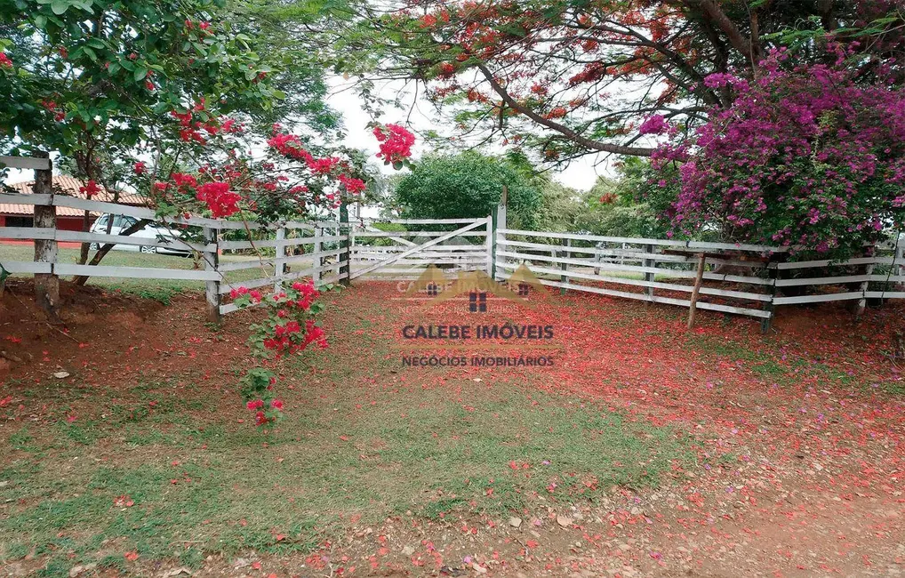 Chácara com 3 quartos à venda, 36000m2 em Cesario Lange - SP - imagem 6 Foto 6 de Chácara com 3 quartos à venda, 36000m2 em Cesario Lange - SP