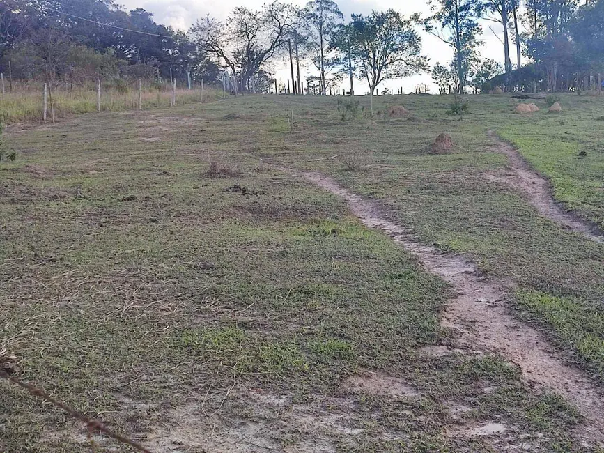 Sítio / Rancho com 3 quartos à venda, 17000m2 em Itapetininga - SP - imagem 3 Foto 3 de Sítio / Rancho com 3 quartos à venda, 17000m2 em Itapetininga - SP
