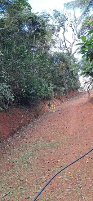 Foto 5 de Chácara com 1 quarto à venda, 1800m2 em Juiz De Fora - MG