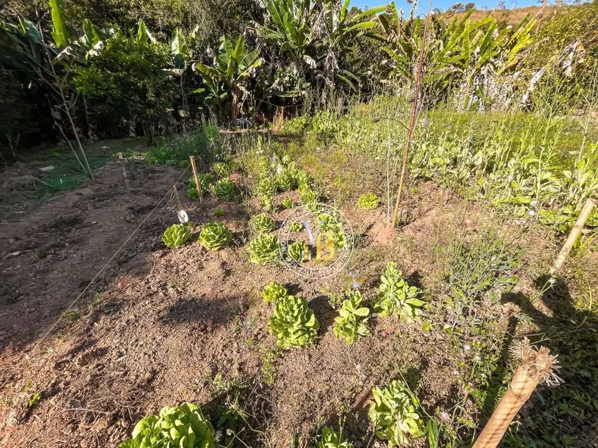 Foto 8 de Terreno / Lote à venda, 1800m2 em Juiz De Fora - MG