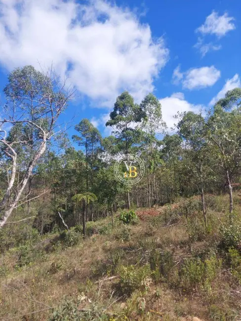 Foto 2 de Fazenda / Haras à venda, 27000m2 em Lima Duarte - MG
