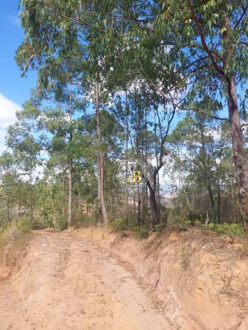 Foto 9 de Fazenda / Haras à venda, 27000m2 em Lima Duarte - MG