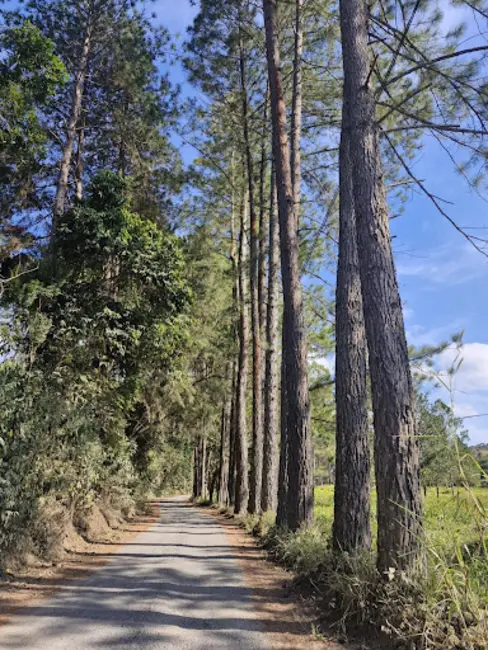 Foto 2 de Terreno / Lote à venda, 11000m2 em Linhares, Juiz De Fora - MG