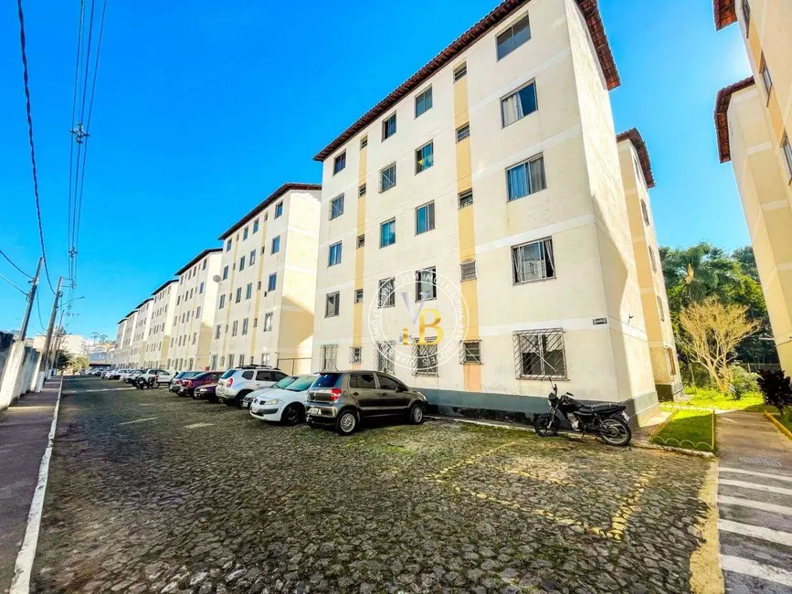 Foto 1 de Apartamento com 2 quartos à venda e para alugar, 48m2 em Vivendas da Serra, Juiz De Fora - MG