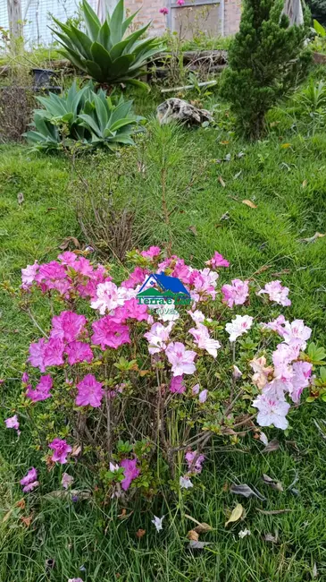 Foto 7 de Casa com 1 quarto à venda, 72m2 em Aiuruoca - MG