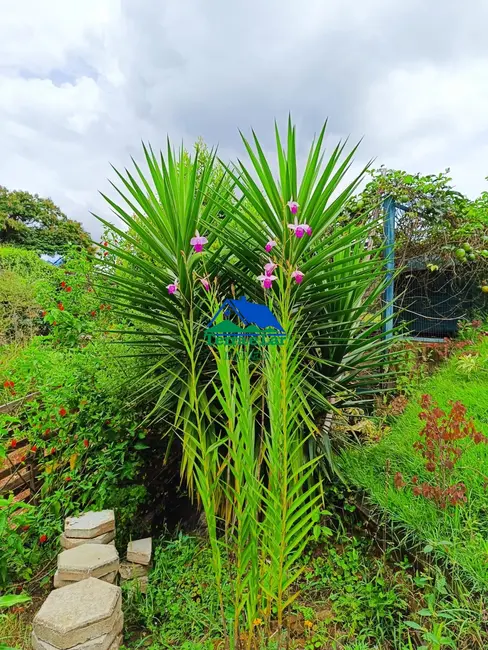 Foto 5 de Casa com 1 quarto à venda, 72m2 em Aiuruoca - MG
