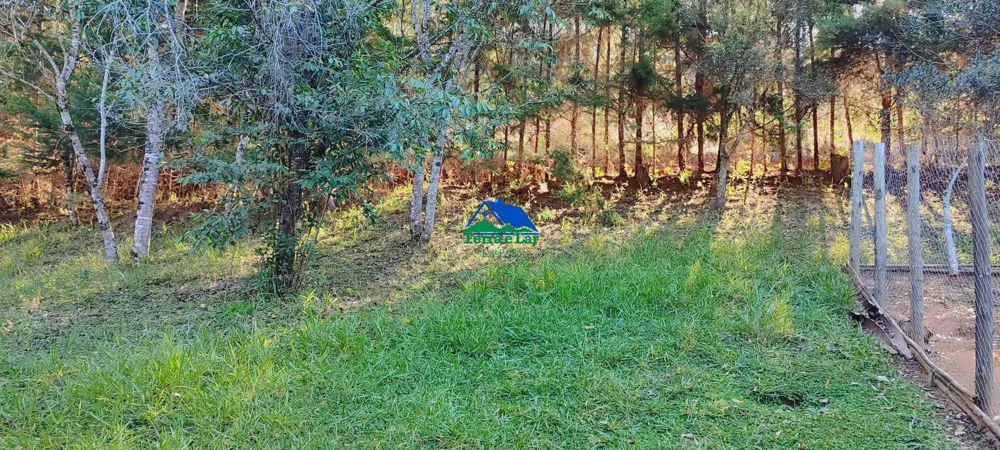 Foto 3 de Chácara com 4 quartos à venda, 400m2 em Aiuruoca - MG