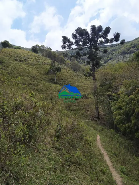 Foto 8 de Fazenda / Haras com 4 quartos à venda, 26m2 em Carvalhos - MG