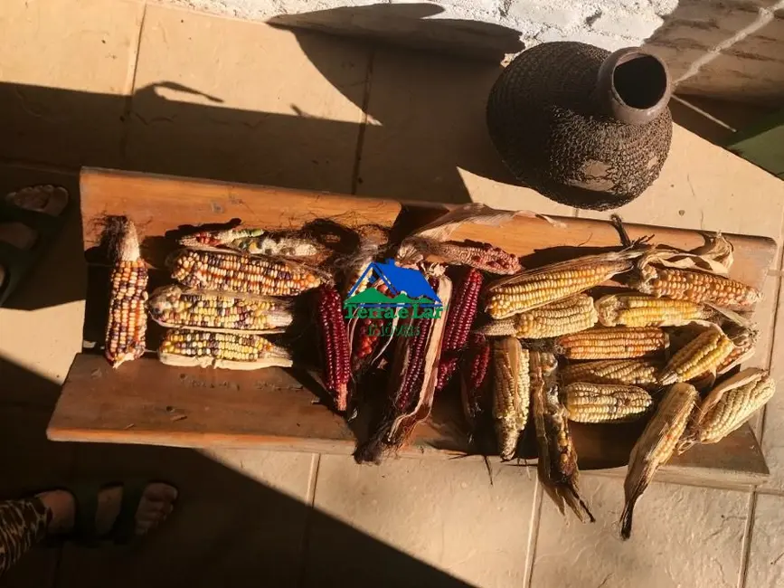 Foto 7 de Fazenda / Haras com 3 quartos à venda, 940000m2 em Aiuruoca - MG