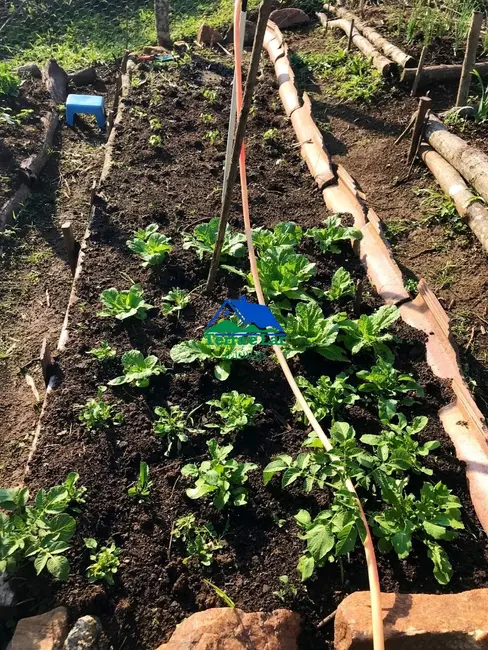 Foto 3 de Fazenda / Haras com 3 quartos à venda, 940000m2 em Aiuruoca - MG