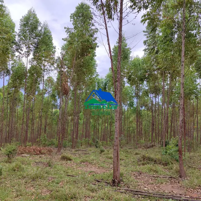 Foto 5 de Fazenda / Haras com 2 quartos à venda, 90m2 em Aiuruoca - MG