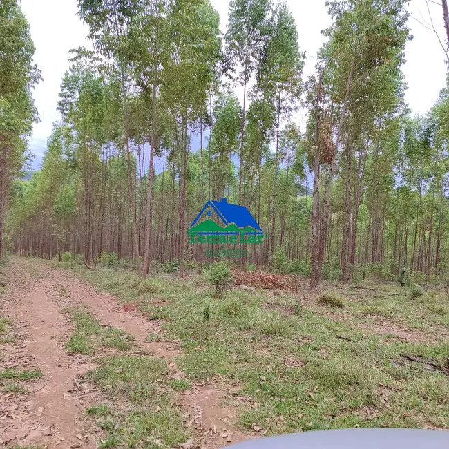 Foto 4 de Fazenda / Haras com 2 quartos à venda, 90m2 em Aiuruoca - MG