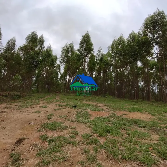 Foto 6 de Fazenda / Haras com 2 quartos à venda, 90m2 em Aiuruoca - MG