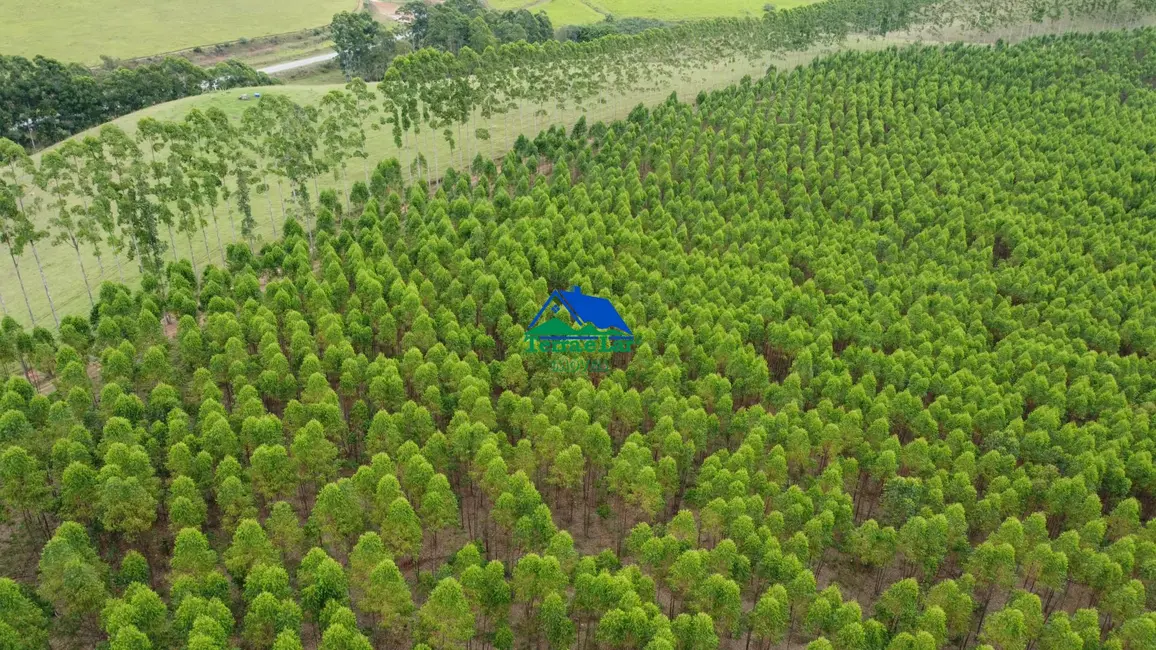 Foto 8 de Fazenda / Haras com 2 quartos à venda, 90m2 em Aiuruoca - MG