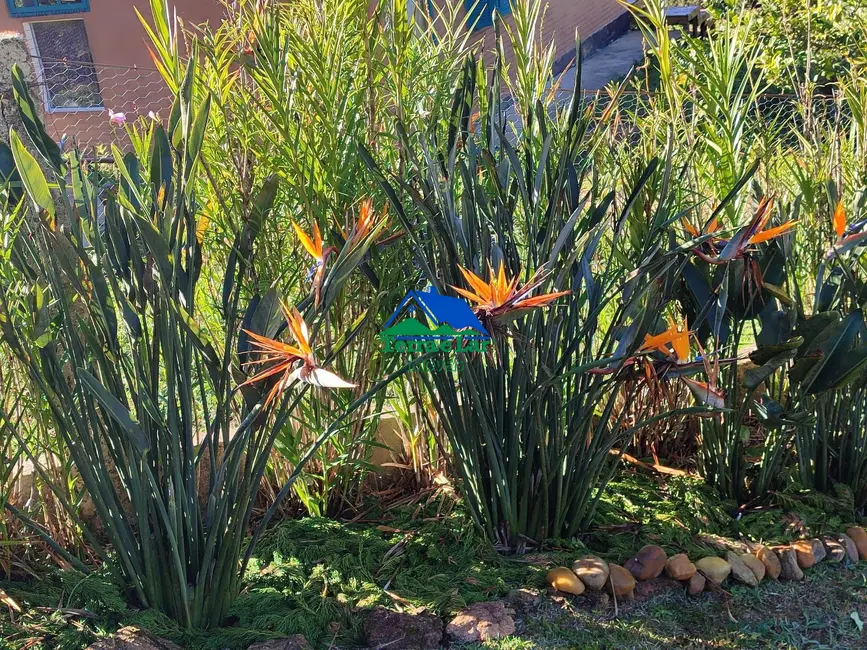 Foto 8 de Chácara com 1 quarto à venda, 20000m2 em Aiuruoca - MG