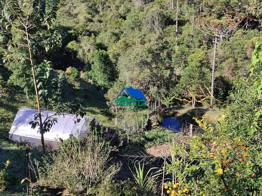 Foto 5 de Chácara com 1 quarto à venda, 20000m2 em Aiuruoca - MG