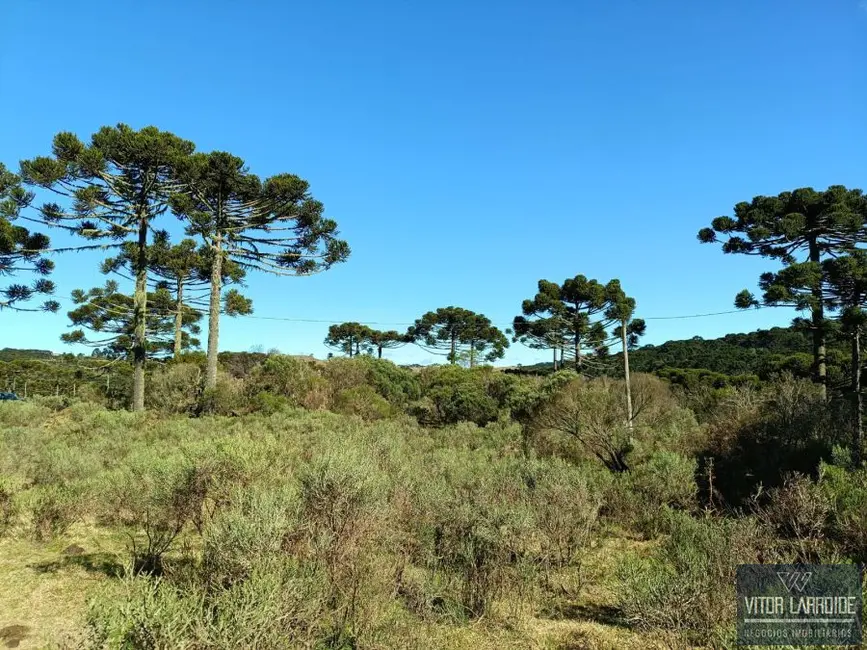 Foto 7 de Fazenda / Haras à venda, 20000m2 em Sao Joaquim - SC