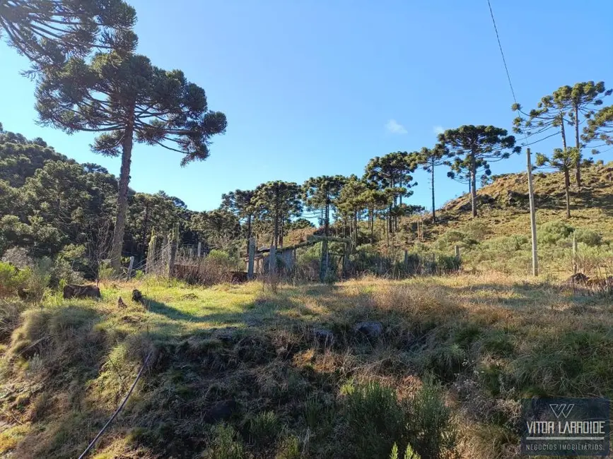 Foto 6 de Fazenda / Haras à venda, 20000m2 em Sao Joaquim - SC