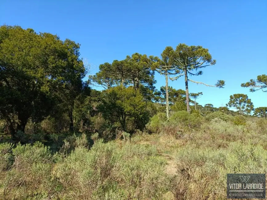 Foto 8 de Fazenda / Haras à venda, 20000m2 em Sao Joaquim - SC