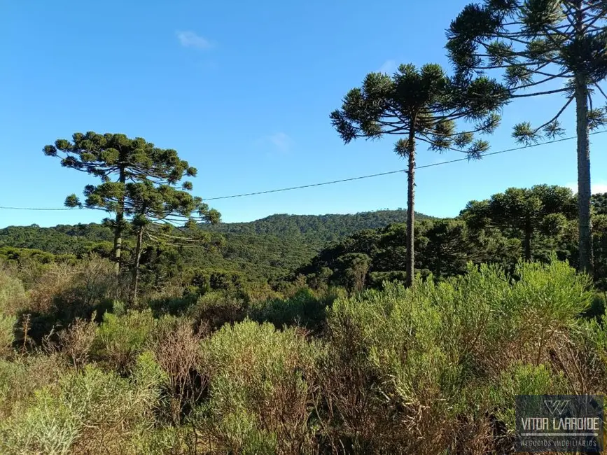 Foto 9 de Fazenda / Haras à venda, 20000m2 em Sao Joaquim - SC