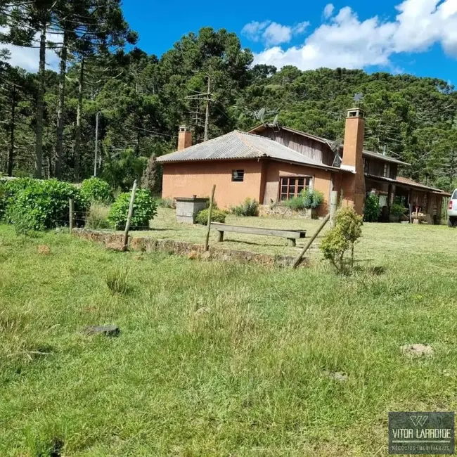Foto 1 de Fazenda / Haras à venda, 20000m2 em Sao Joaquim - SC