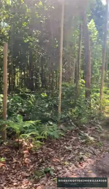 Foto 4 de Terreno / Lote à venda, 750m2 em Porto Seguro - BA