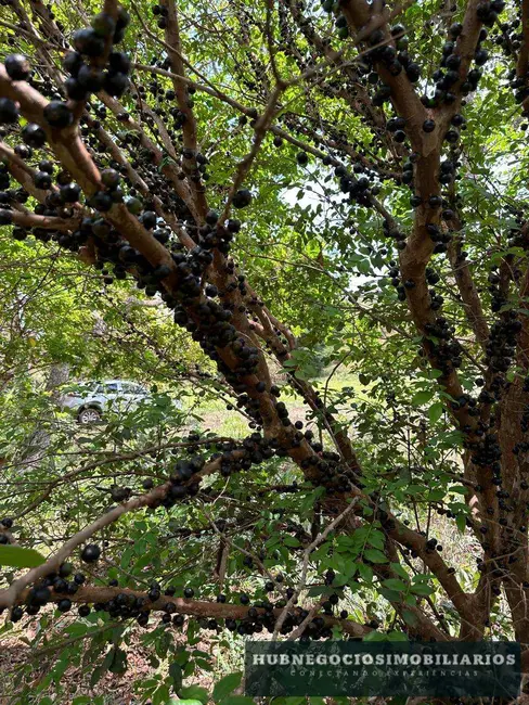 Fazenda / Haras com 3 quartos à venda em Montes Claros - MG - imagem 3 Foto 3 de Fazenda / Haras com 3 quartos à venda em Montes Claros - MG