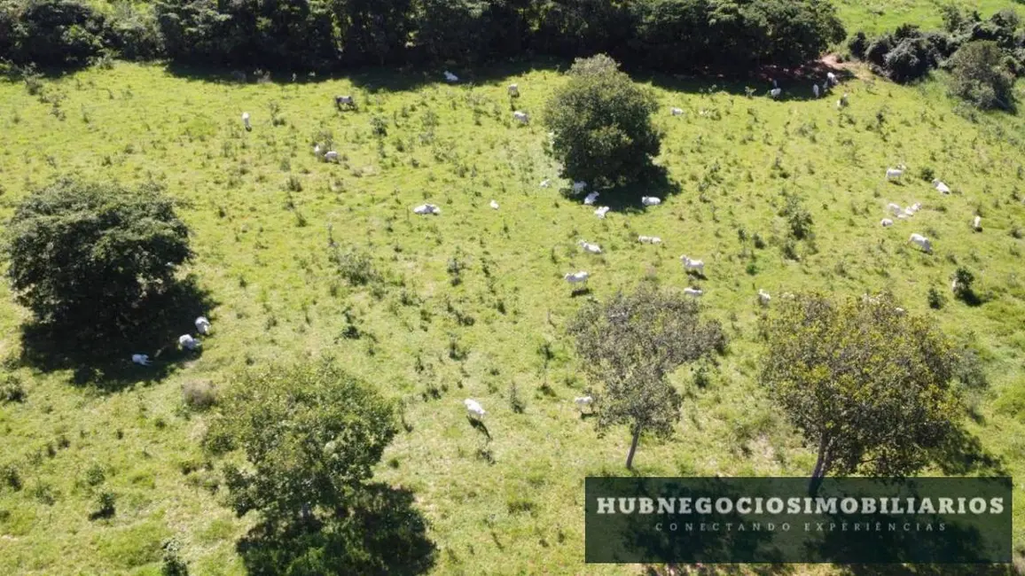 Foto 1 de Fazenda / Haras com 2 quartos à venda, 82m2 em Coracao De Jesus - MG