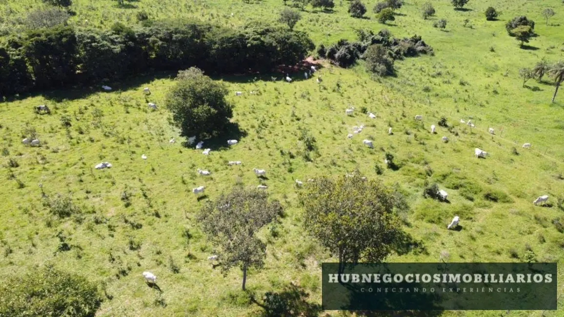 Foto 2 de Fazenda / Haras com 2 quartos à venda, 82m2 em Coracao De Jesus - MG