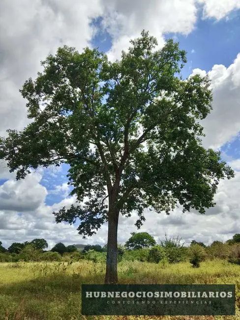 Terreno / Lote à venda, 1000m2 em Jaraguá, Montes Claros - MG - imagem 4 Foto 4 de Terreno / Lote à venda, 1000m2 em Jaraguá, Montes Claros - MG