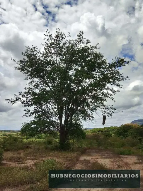 Terreno / Lote à venda, 1000m2 em Jaraguá, Montes Claros - MG - imagem 3 Foto 3 de Terreno / Lote à venda, 1000m2 em Jaraguá, Montes Claros - MG