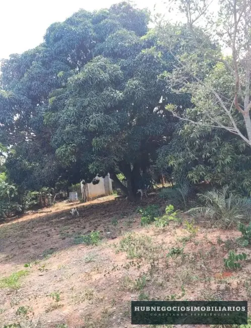 Chácara com 3 quartos à venda, 5000m2 em Major Prates, Montes Claros - MG - imagem 8 Foto 8 de Chácara com 3 quartos à venda, 5000m2 em Major Prates, Montes Claros - MG