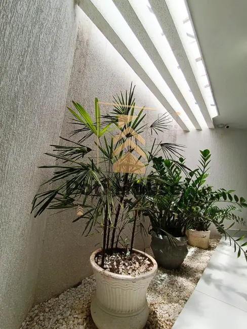 Sala Comercial com 4 quartos à venda, 250m2 em Ponta Negra, Natal - RN - imagem 4 Foto 4 de Sala Comercial com 4 quartos à venda, 250m2 em Ponta Negra, Natal - RN