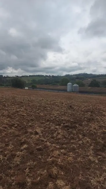 Fazenda / Haras com 2 quartos à venda, 169400m2 em Pilar Do Sul - SP - imagem 7 Foto 7 de Fazenda / Haras com 2 quartos à venda, 169400m2 em Pilar Do Sul - SP