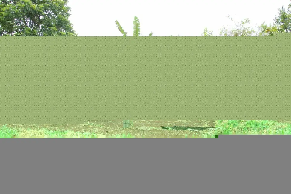 Fazenda / Haras com 2 quartos à venda, 90145m2 em Lagoa Vermelha, Tatui - SP - imagem 9 Foto 9 de Fazenda / Haras com 2 quartos à venda, 90145m2 em Lagoa Vermelha, Tatui - SP